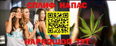 гашик Обь