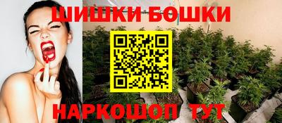 гашик Обь