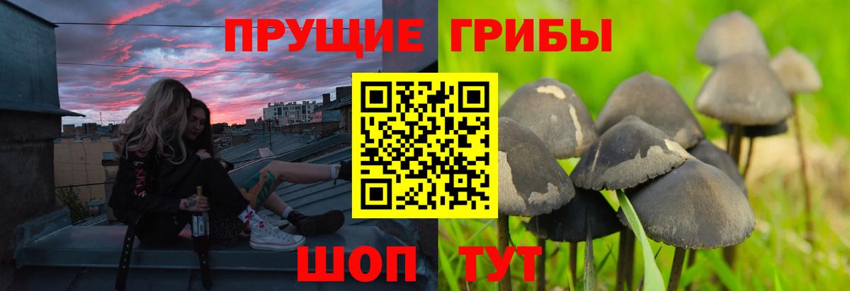 Ханты-Мансийск  Галлюциногенные грибы ЛСД  Псилоцибиновые грибы Psilocybine cubensis  Вход с VPN 